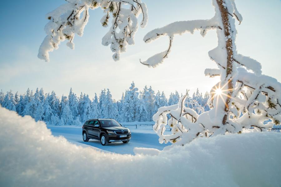  Skoda Kodiaq Scout 2017 года  (WW) (фото 22 из 61)